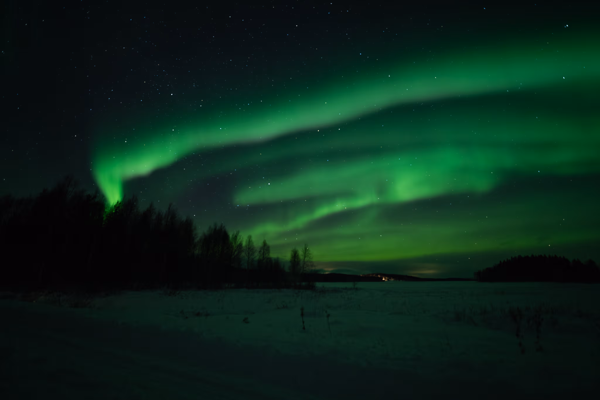 Green aurora bands above a snowy clearing and forest