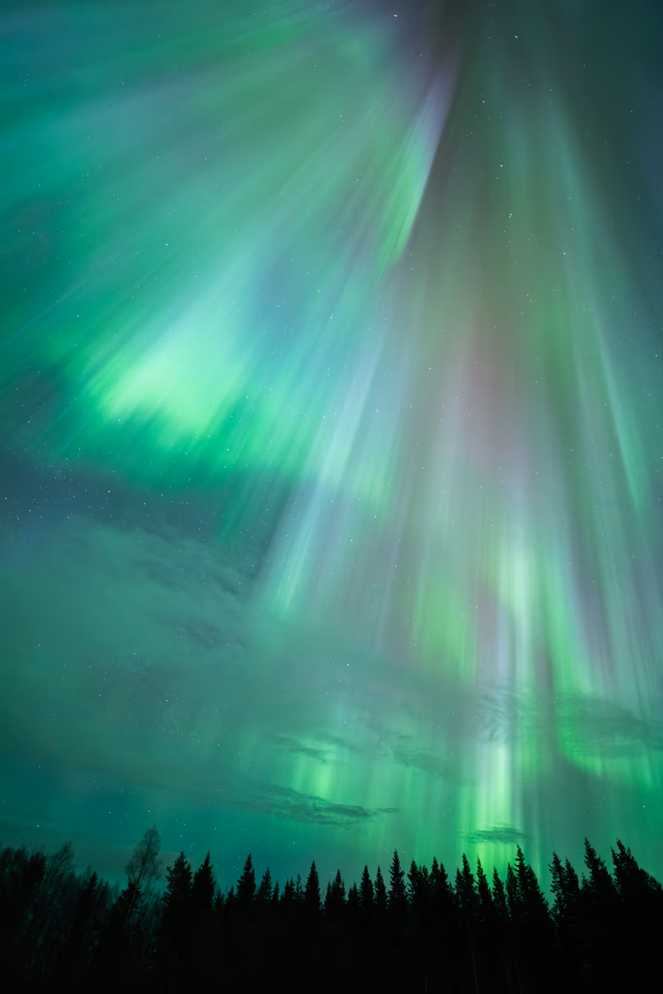Aurora sobre un bosque de Laponia