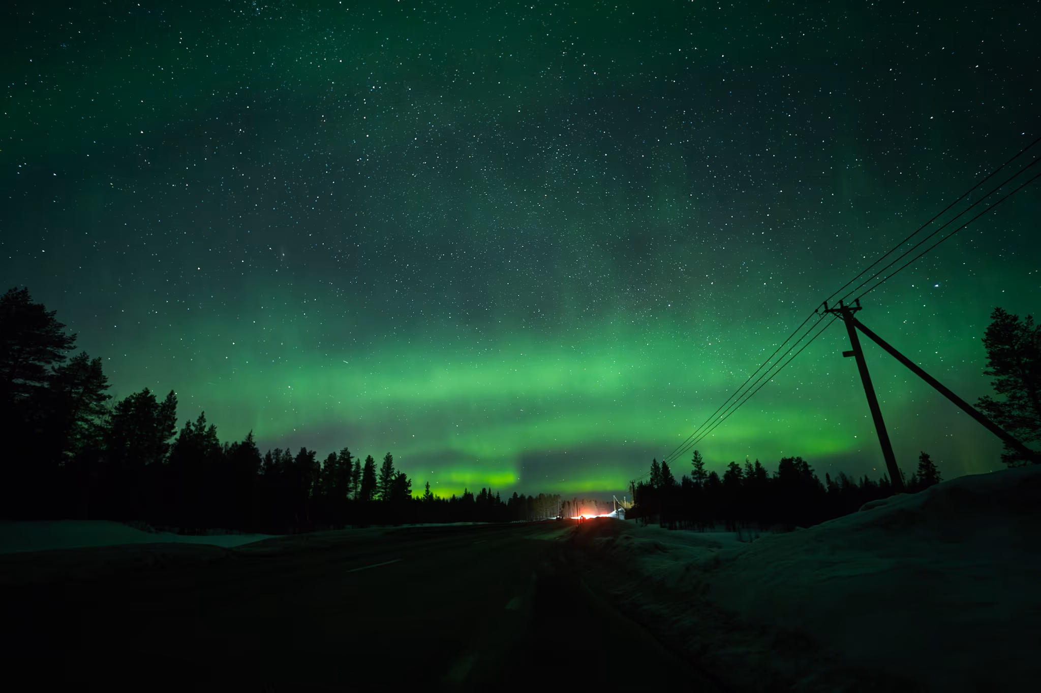 Northern lights over a snowy forest