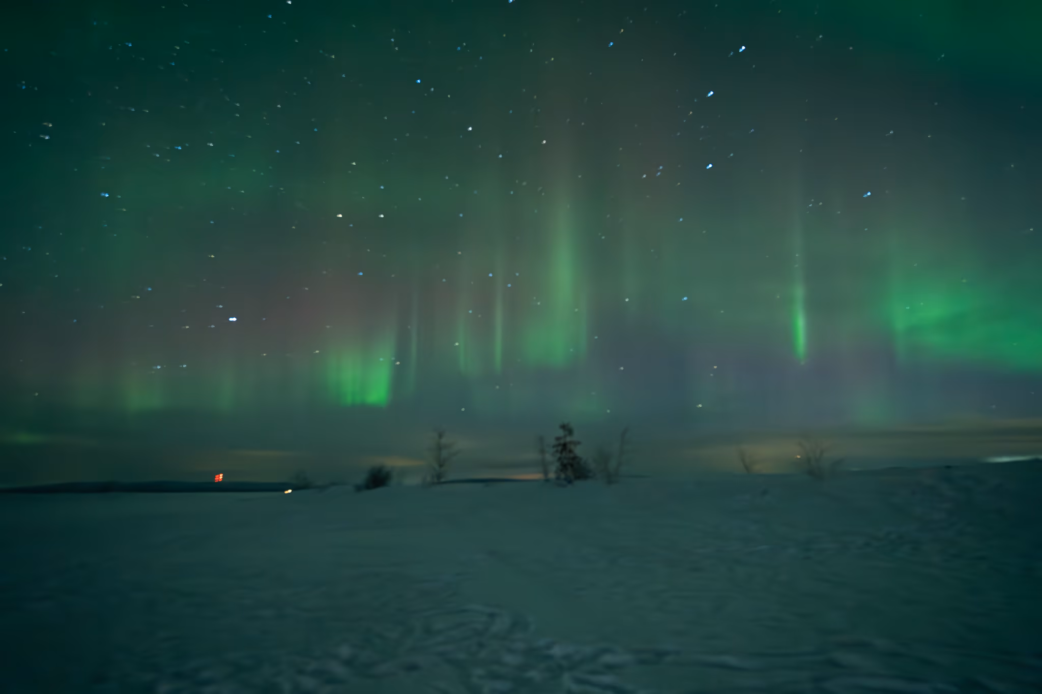 Foto reale di aurora da un tour Lapland Explorers
