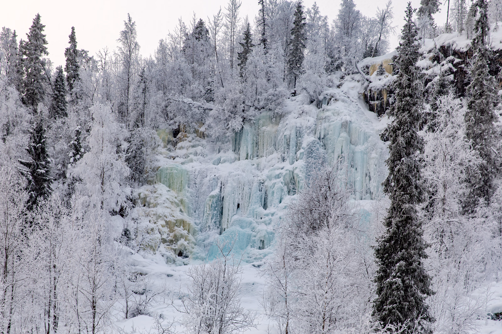 Mammoth icefall surrounded by snowy forest in Korouoma canyon