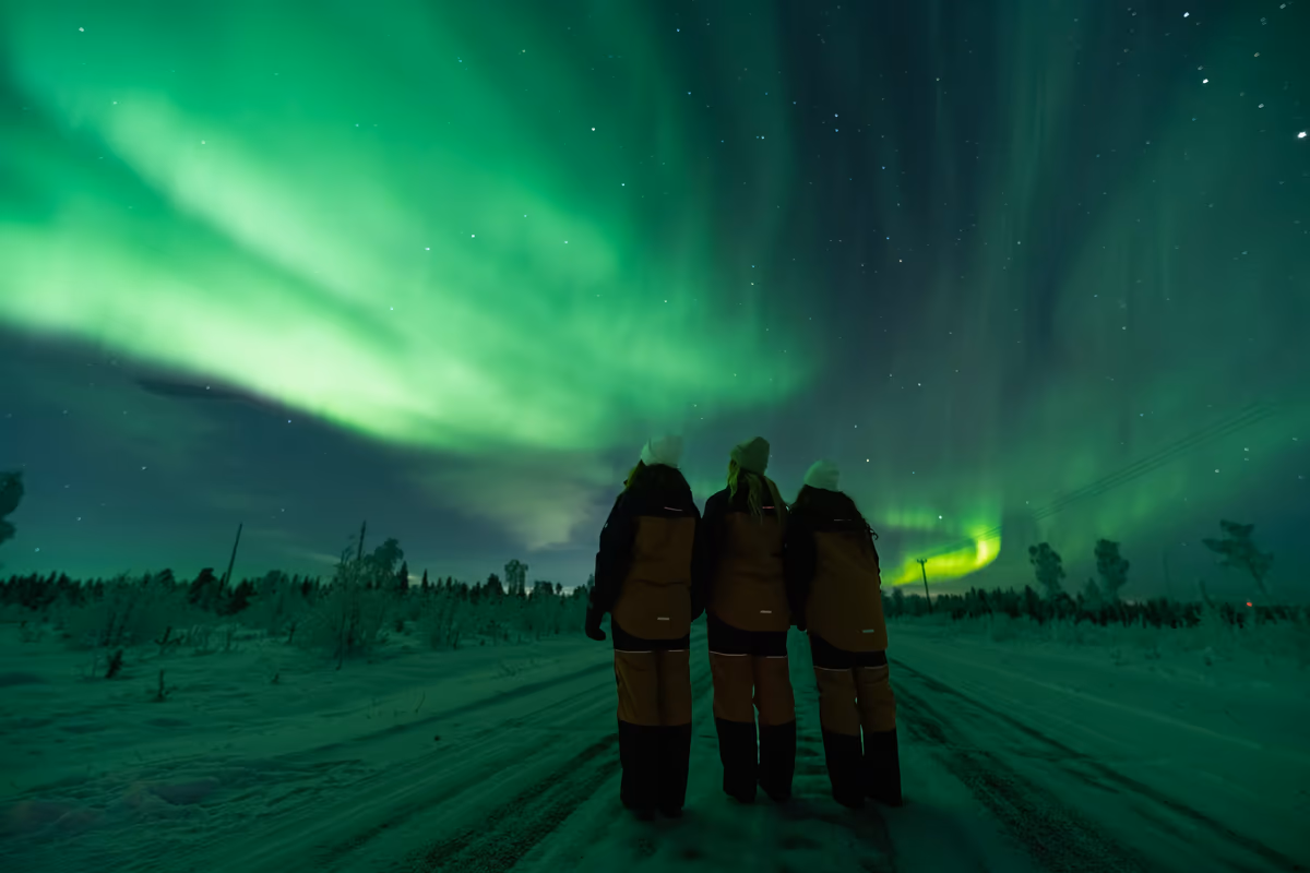 A group watching the northern lights together on the bus hunt