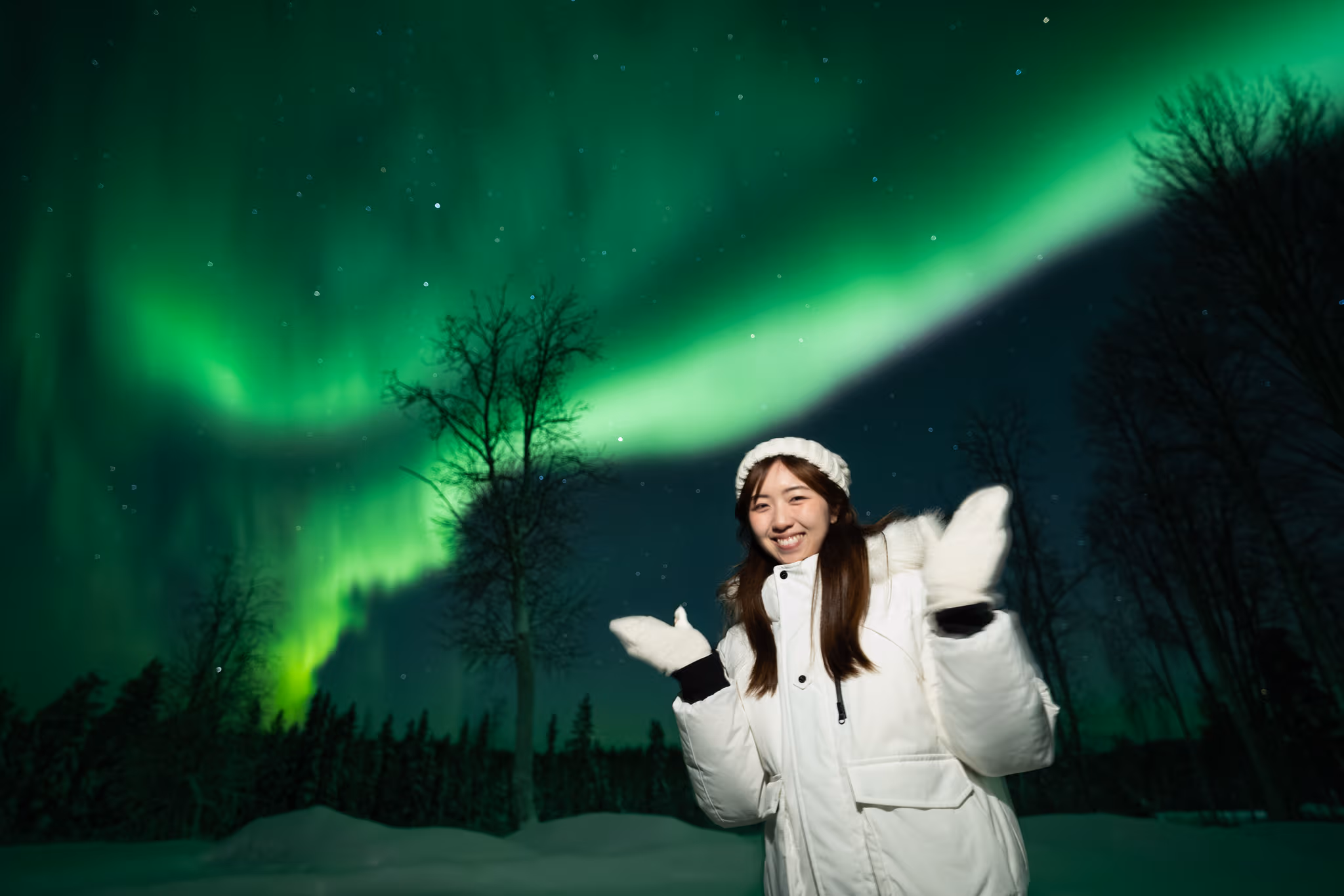 Lapland Explorers 实际极光行程照片