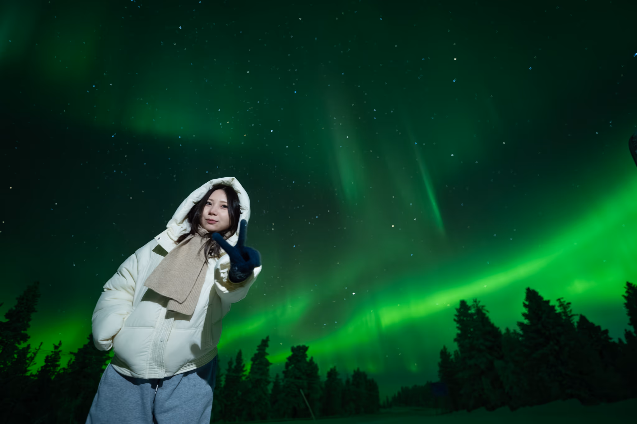Lapland Explorers 实际极光行程照片
