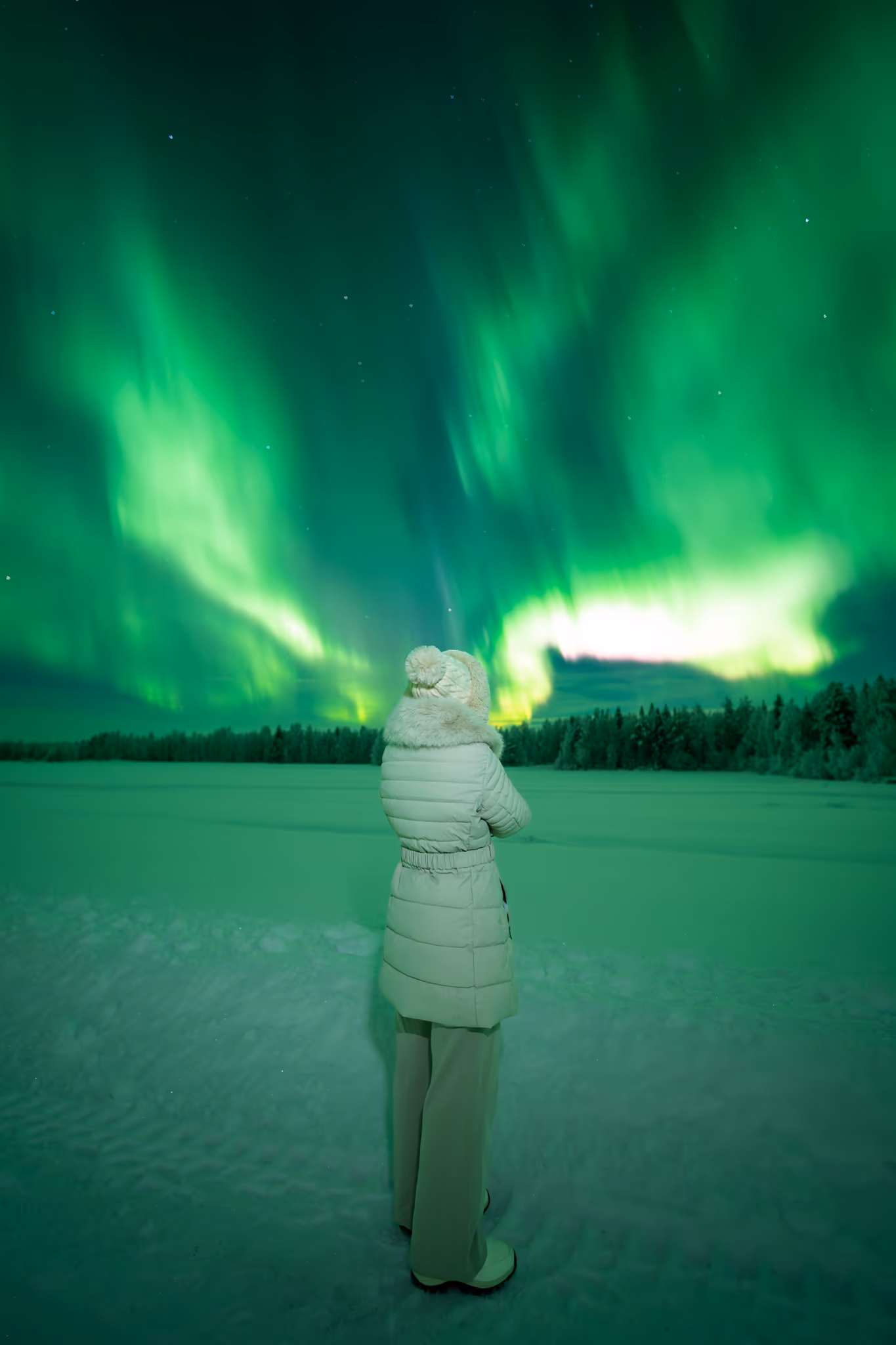 Lapland Explorers 实际极光行程照片